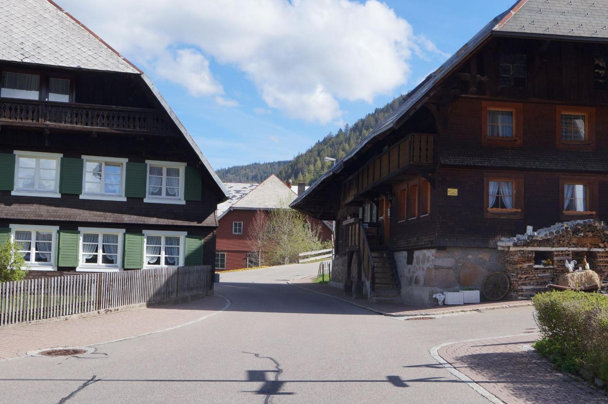 Familien-Sportappartements Wetzel Menzenschwand-Hinterdorf Exterior foto