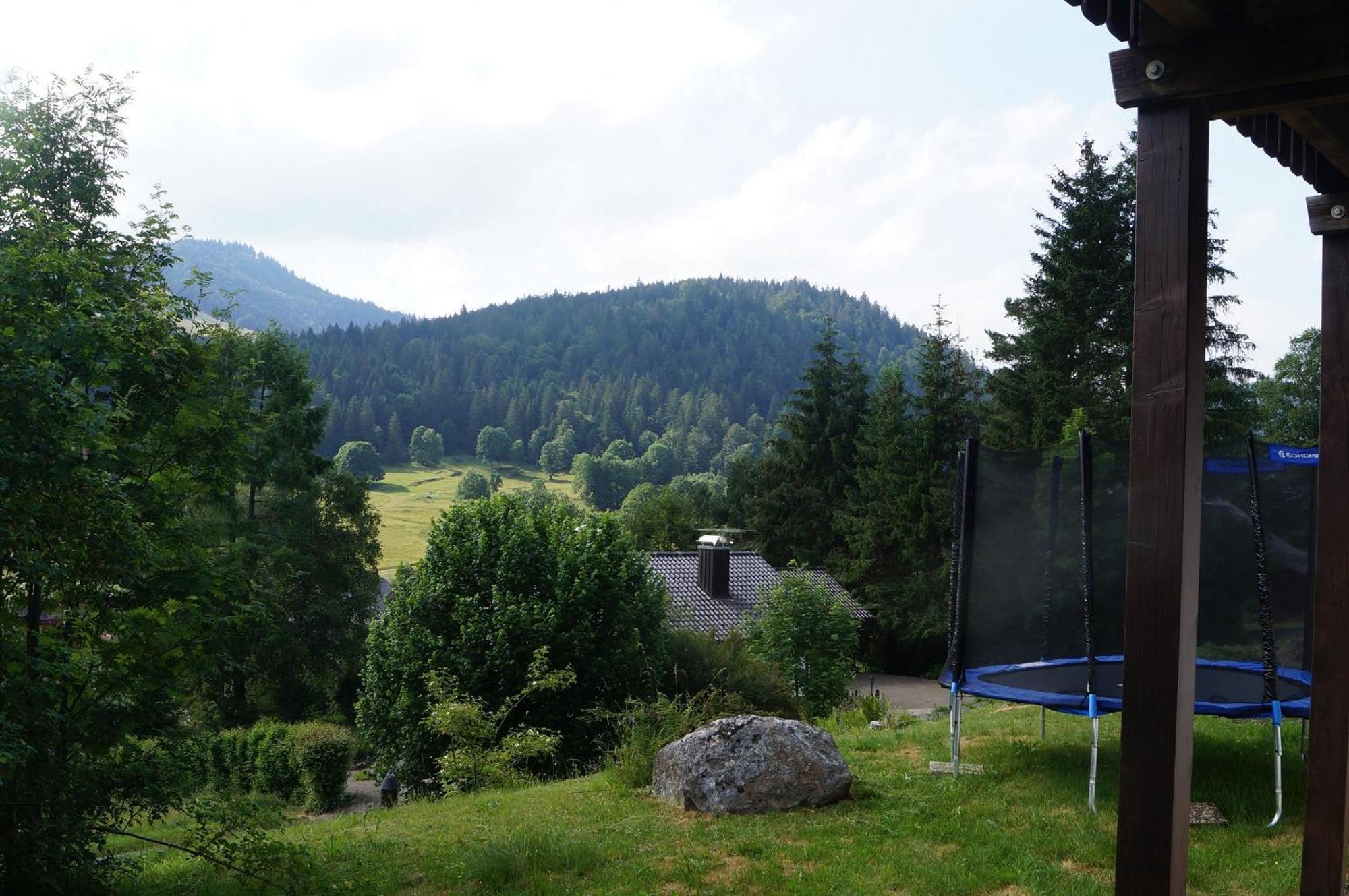 Familien-Sportappartements Wetzel Menzenschwand-Hinterdorf Exterior foto