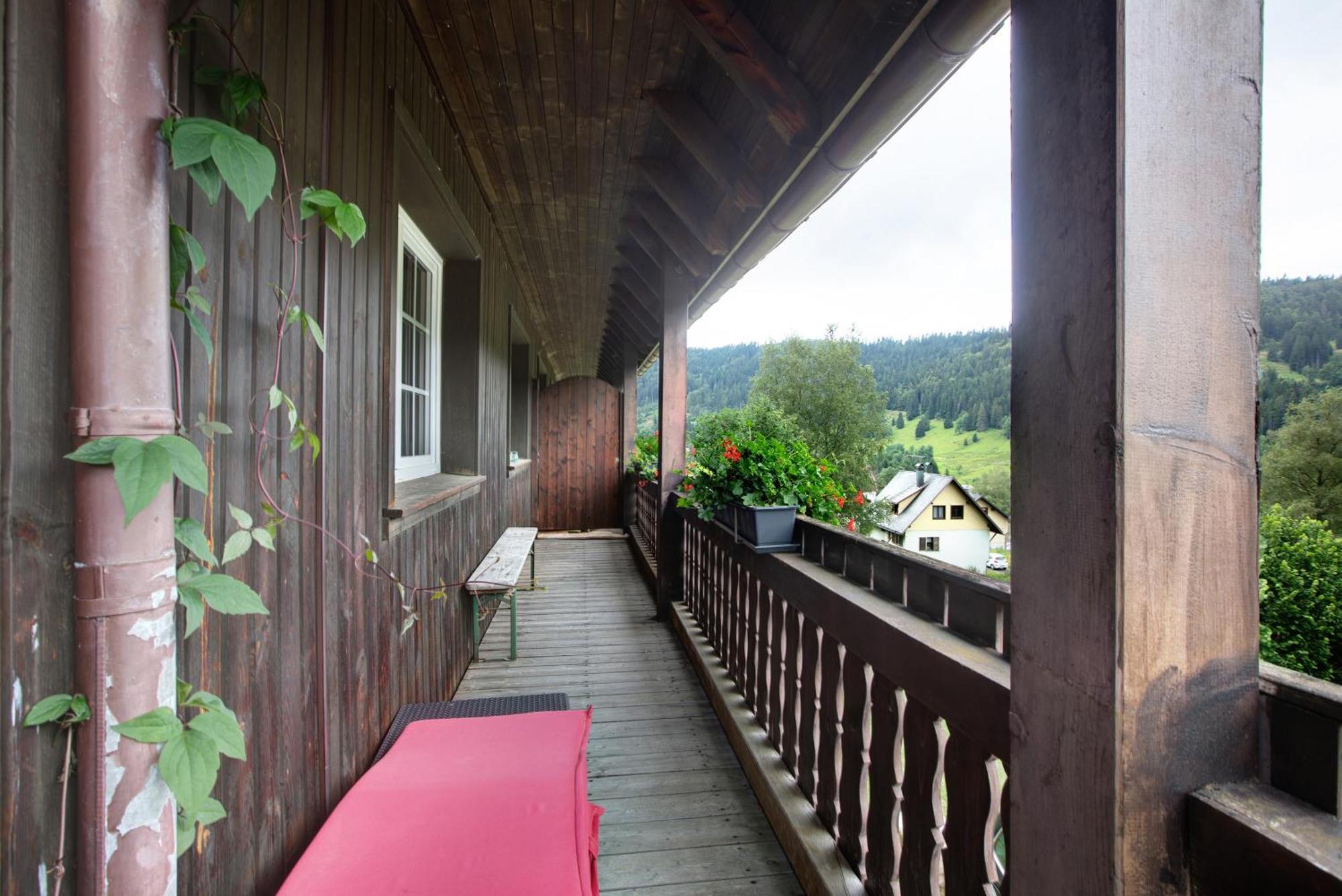 Familien-Sportappartements Wetzel Menzenschwand-Hinterdorf Exterior foto